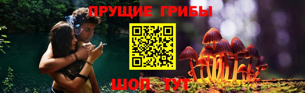 Галлюциногенные грибы GOLDEN TEACHER  продажа наркотиков  Миасс  Галлюциногенные грибы ЛСД  Вход с VPN 